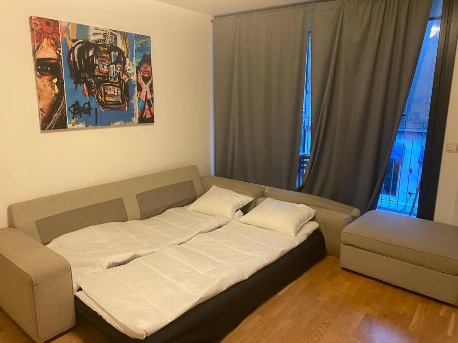 Leilighet Midt I Oslo Sentrum 2 Soverom Og Stue エクステリア 写真